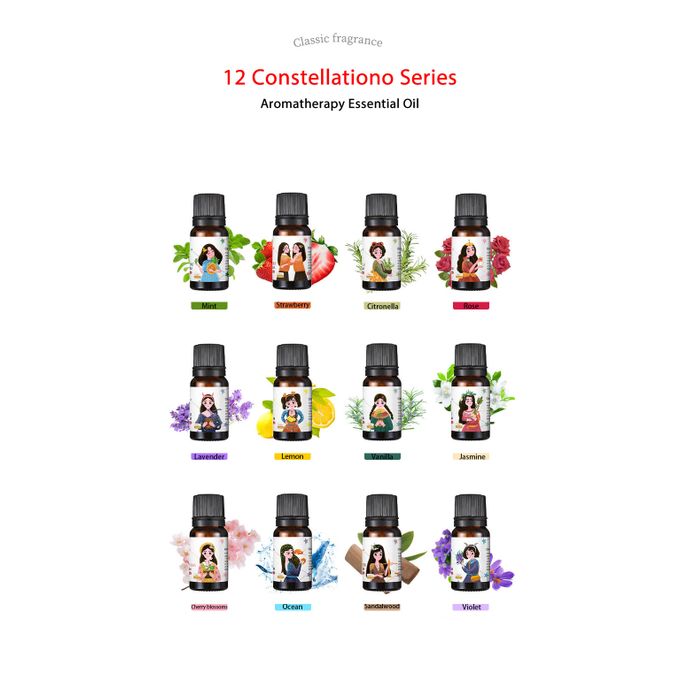 Fragrance Oil 12 Packs - Zambeel